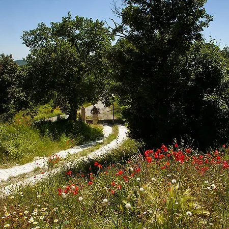 Apart Otel Casale Belvedere Con Piscina Nel Bosco Apecchio