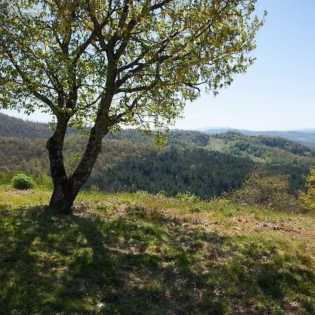 Casale Belvedere Con Piscina Nel Bosco